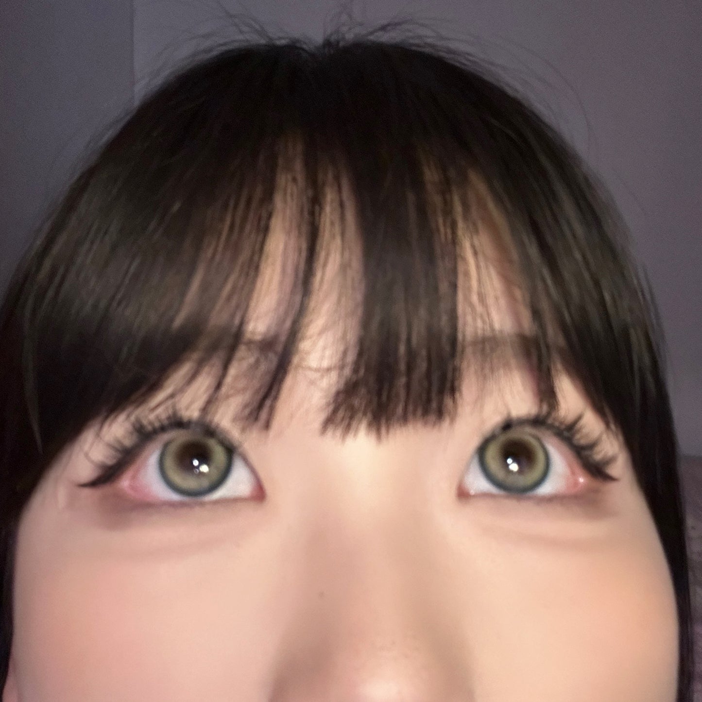 5 Pairs Bunny Natural Lashes (Mh07)